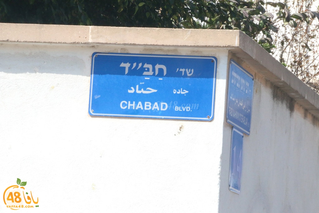 streetesasqq (3).jpg.jpg